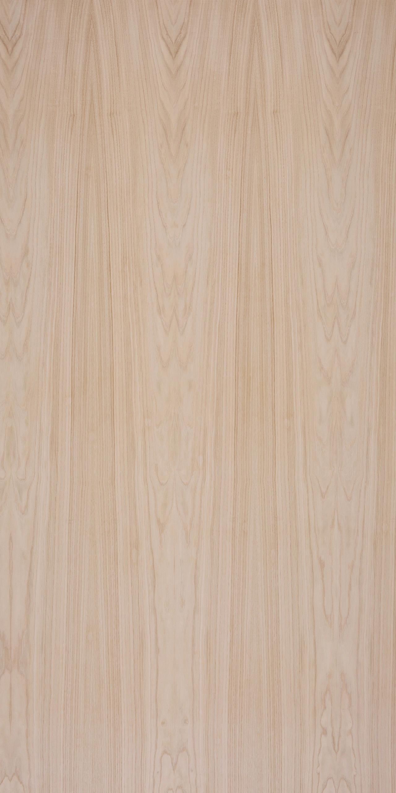 picture alternative text