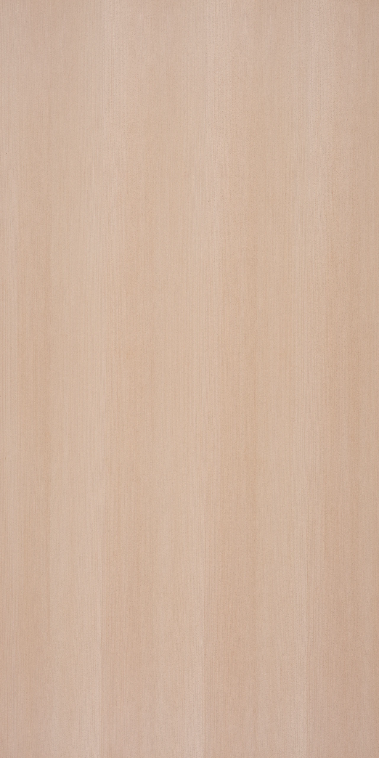 picture alternative text