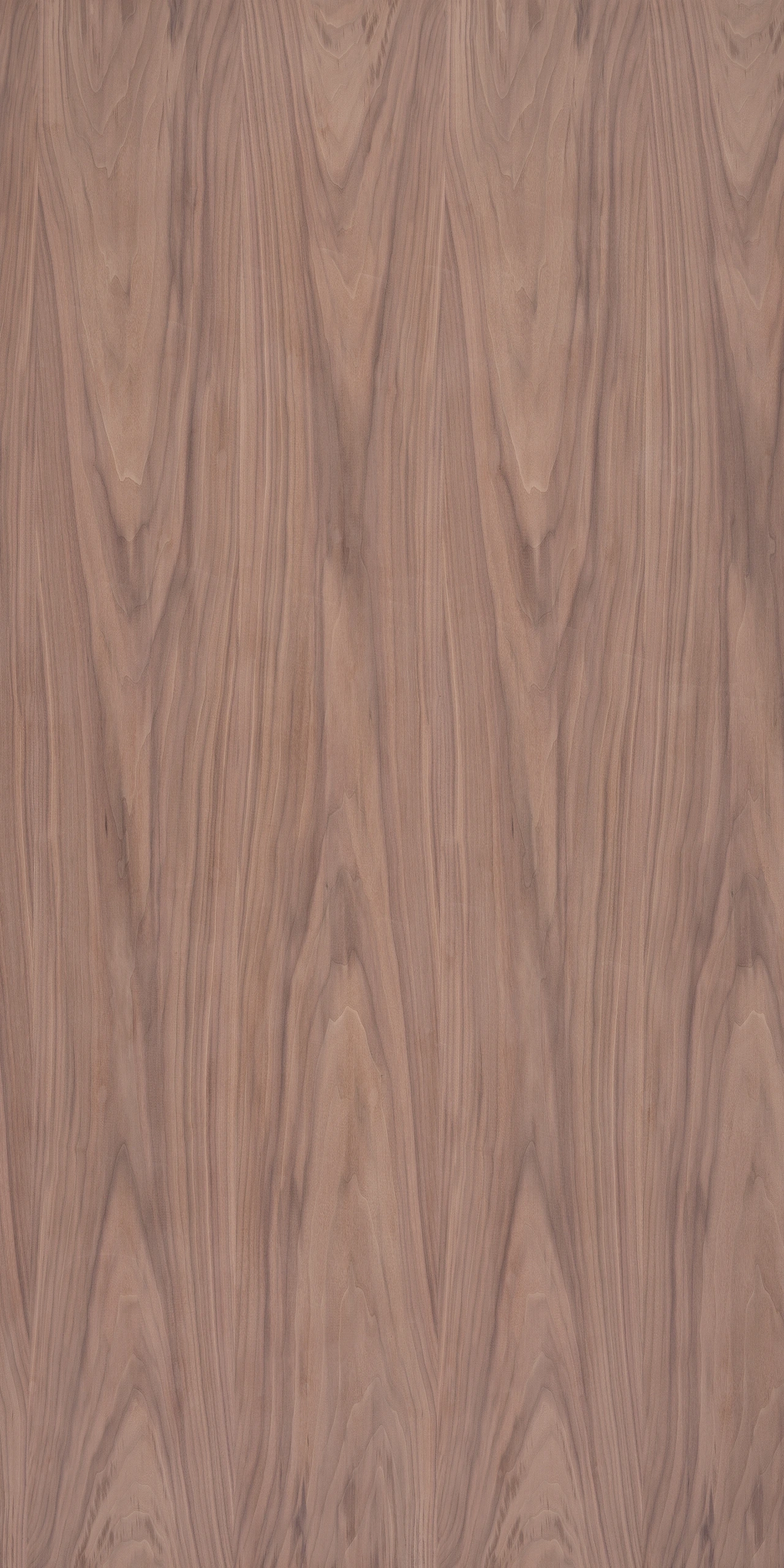 picture alternative text