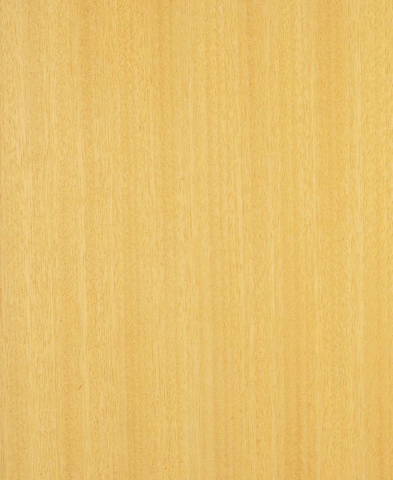 picture alternative text