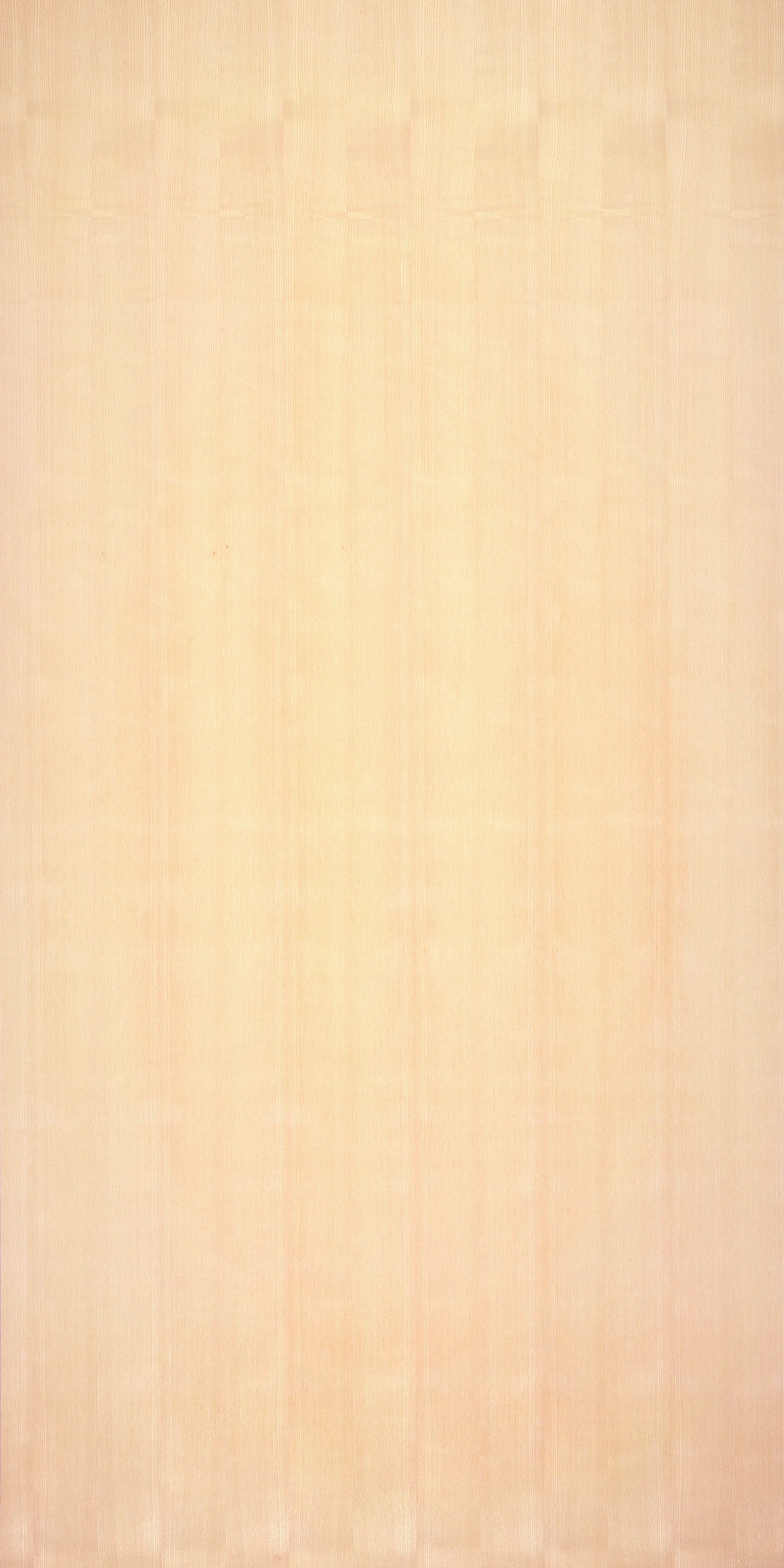 picture alternative text