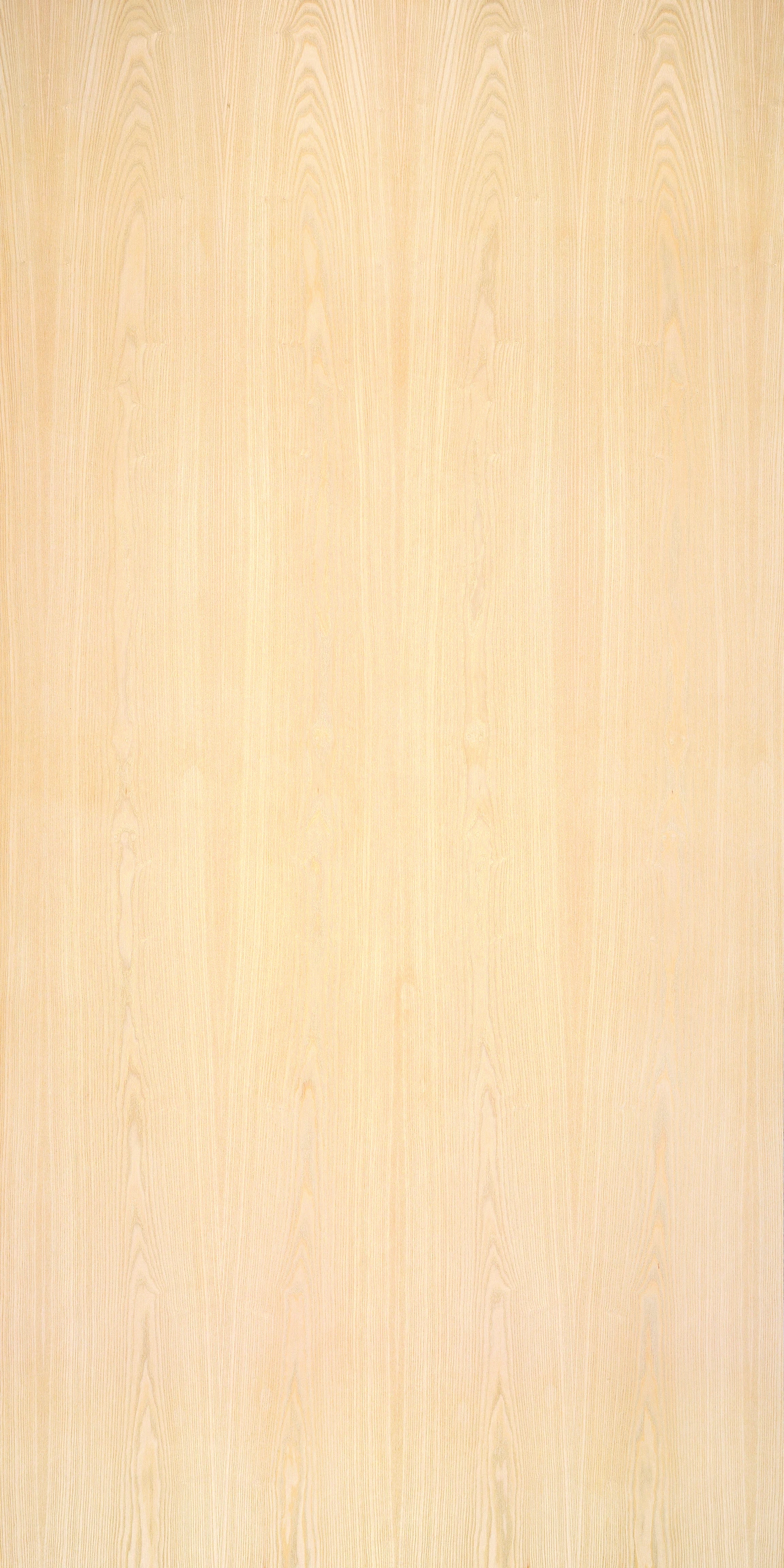 picture alternative text