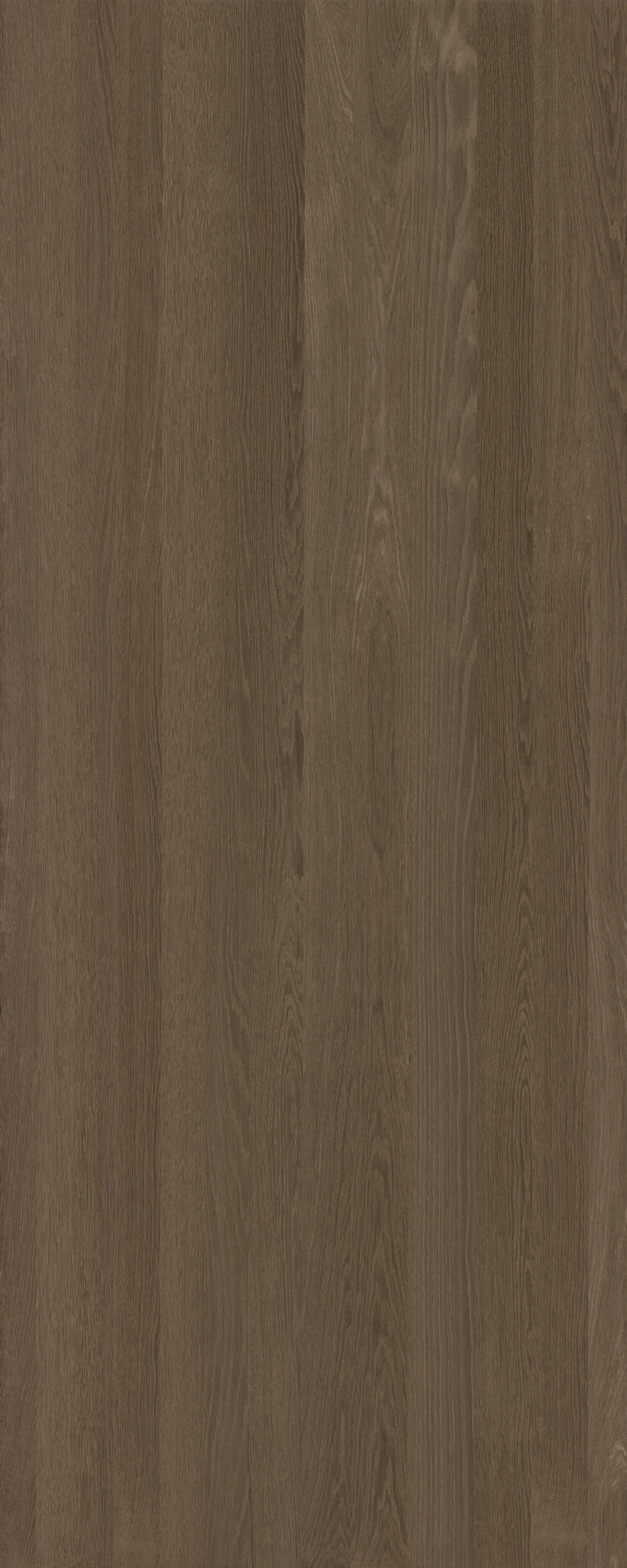 picture alternative text