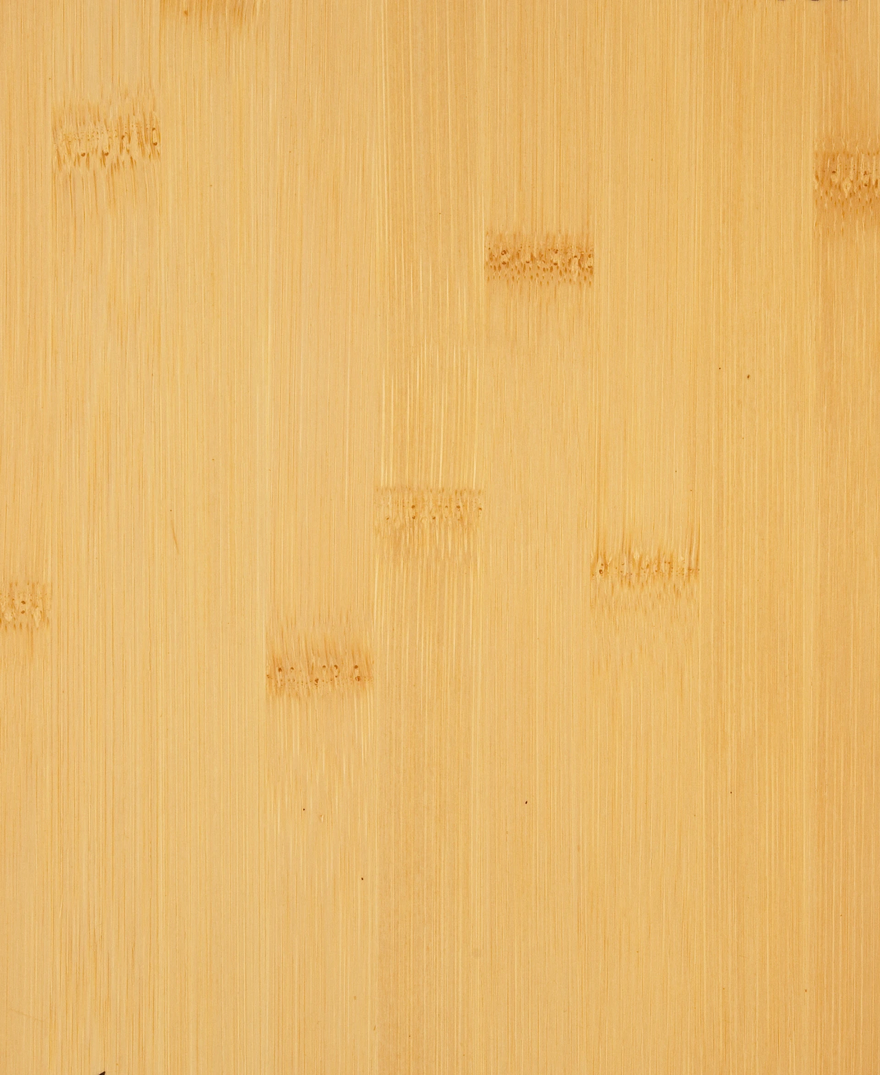 picture alternative text