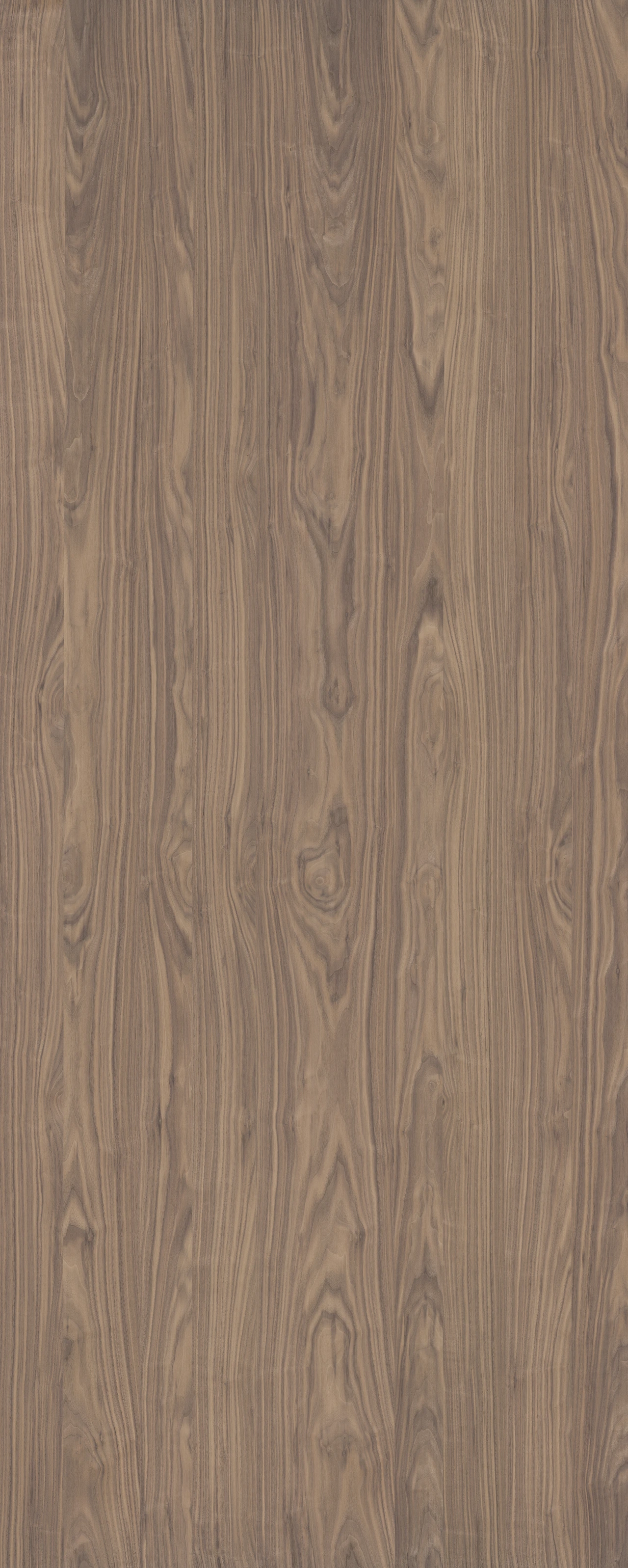 picture alternative text