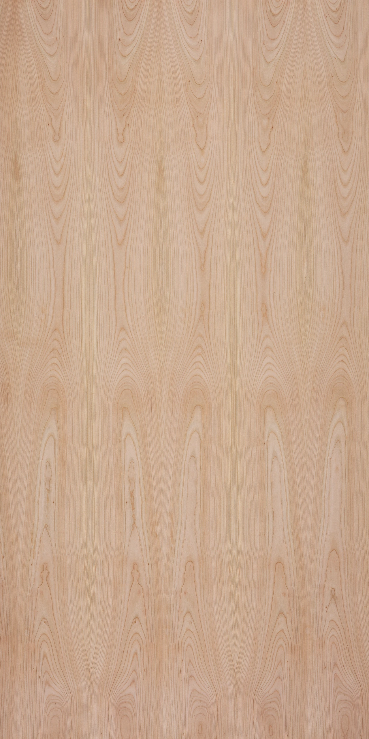 picture alternative text