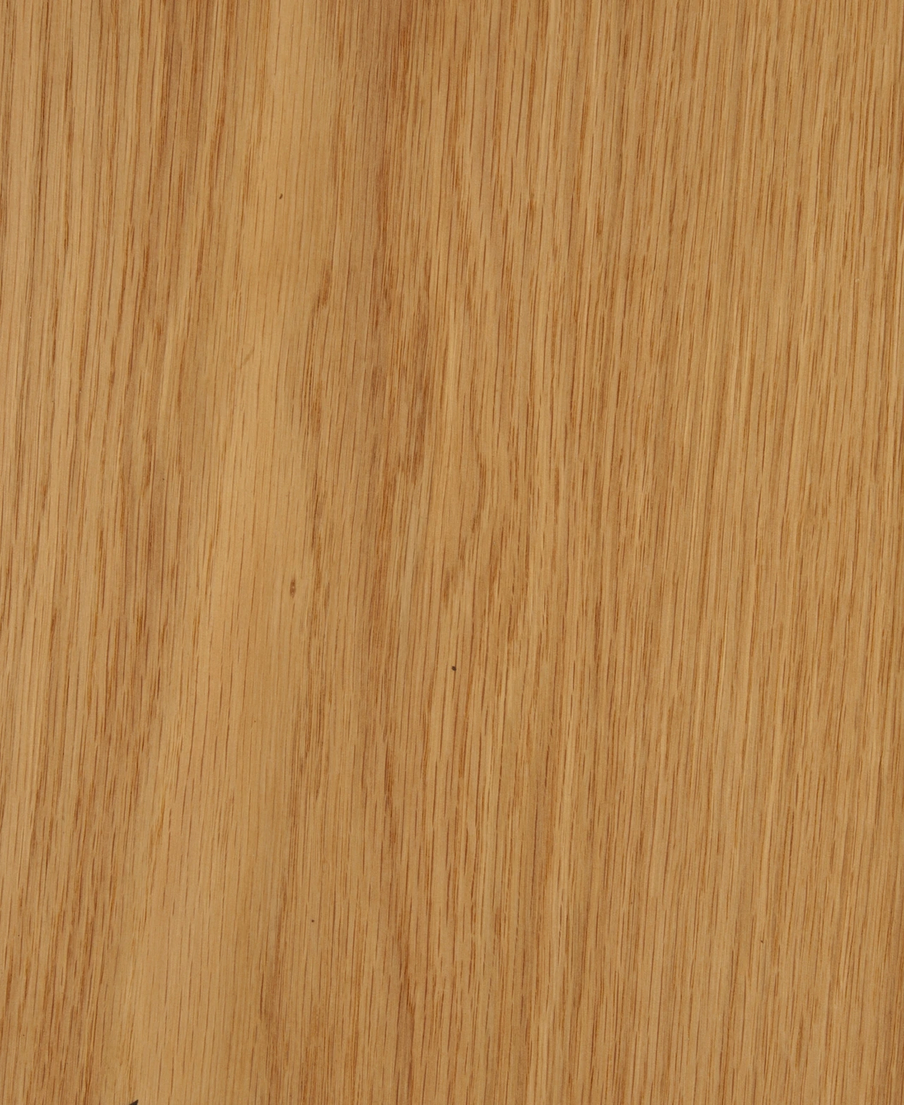 picture alternative text