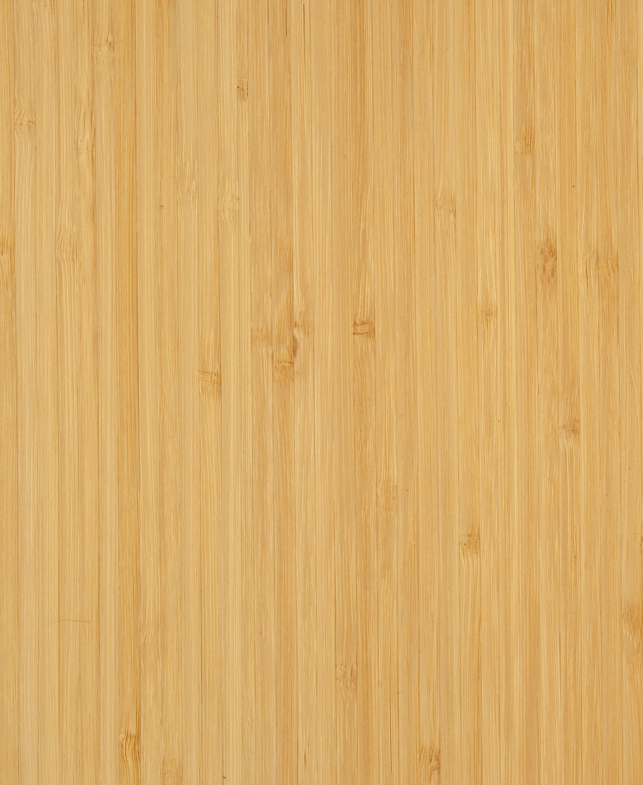 picture alternative text