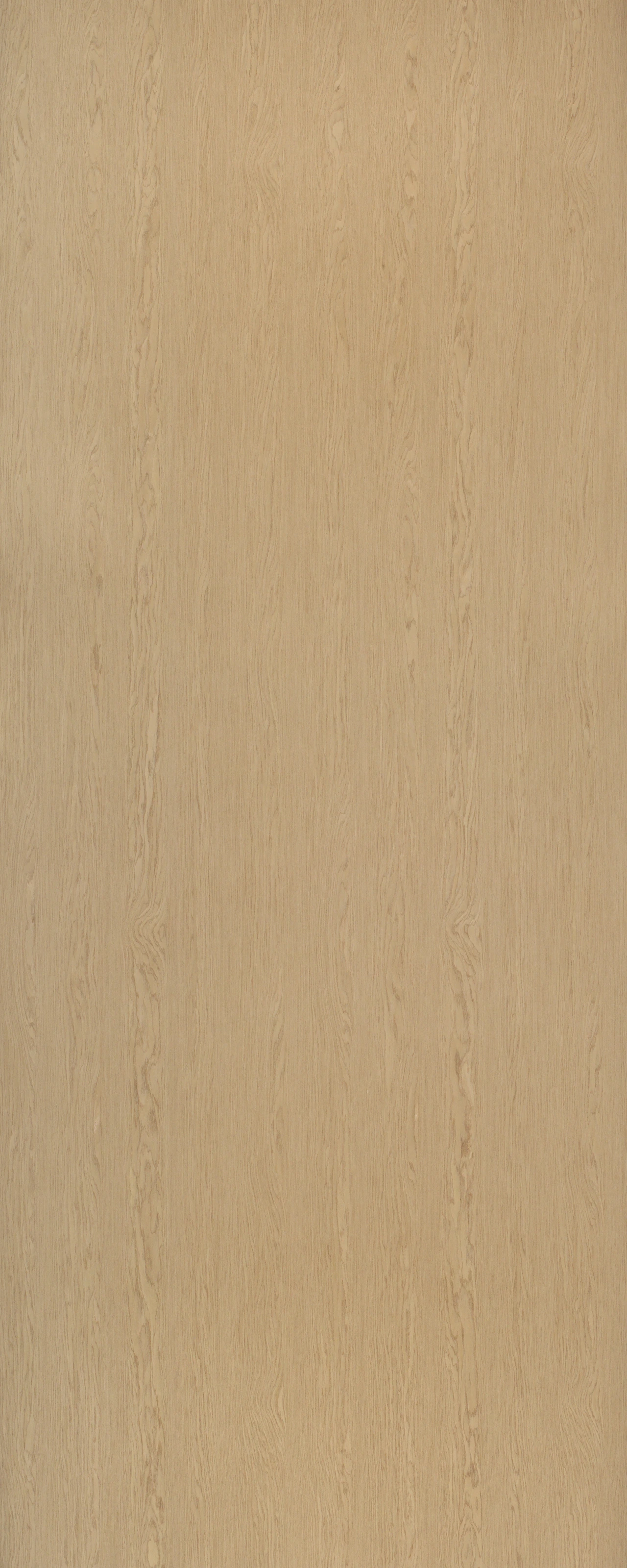 picture alternative text