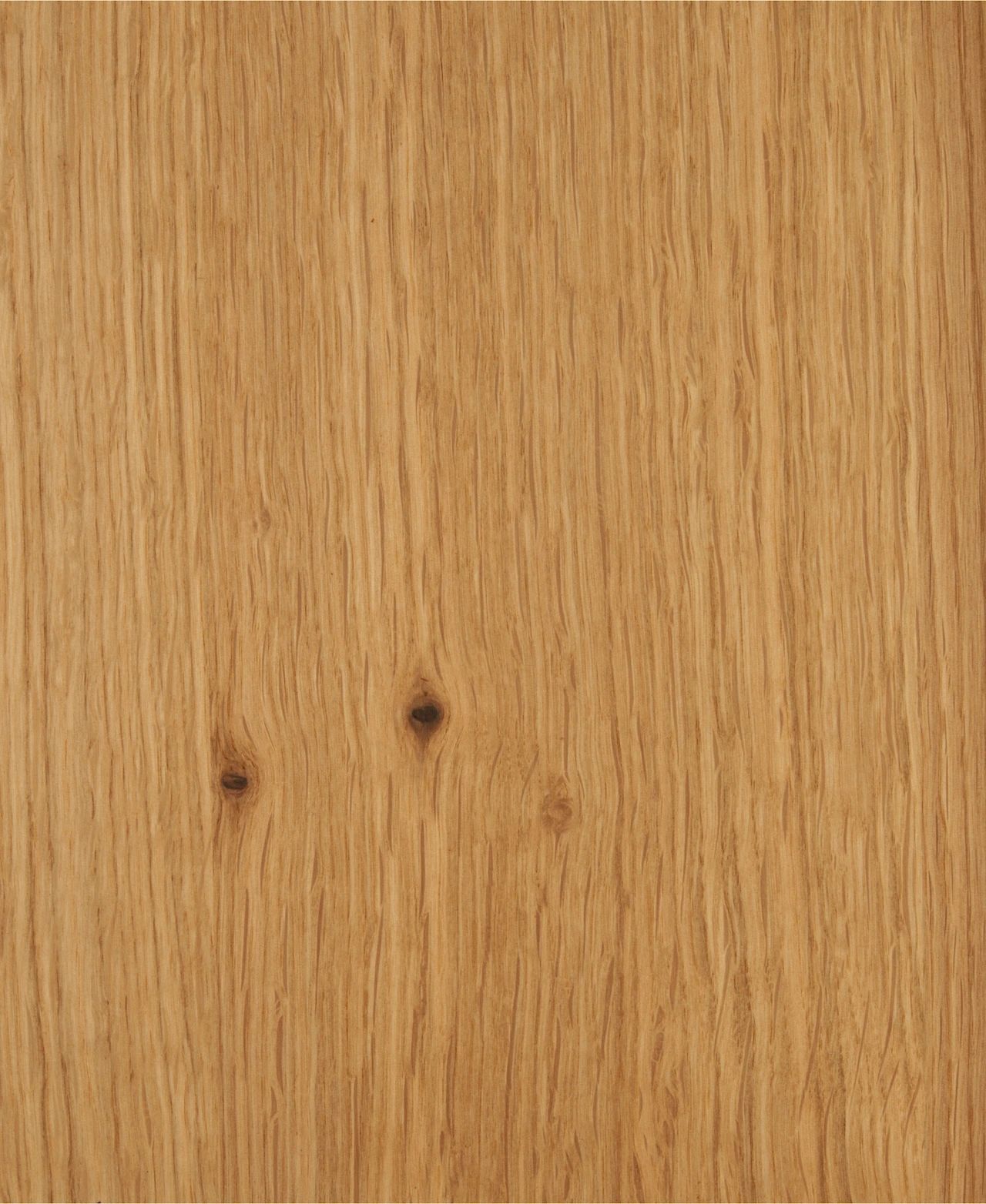 picture alternative text