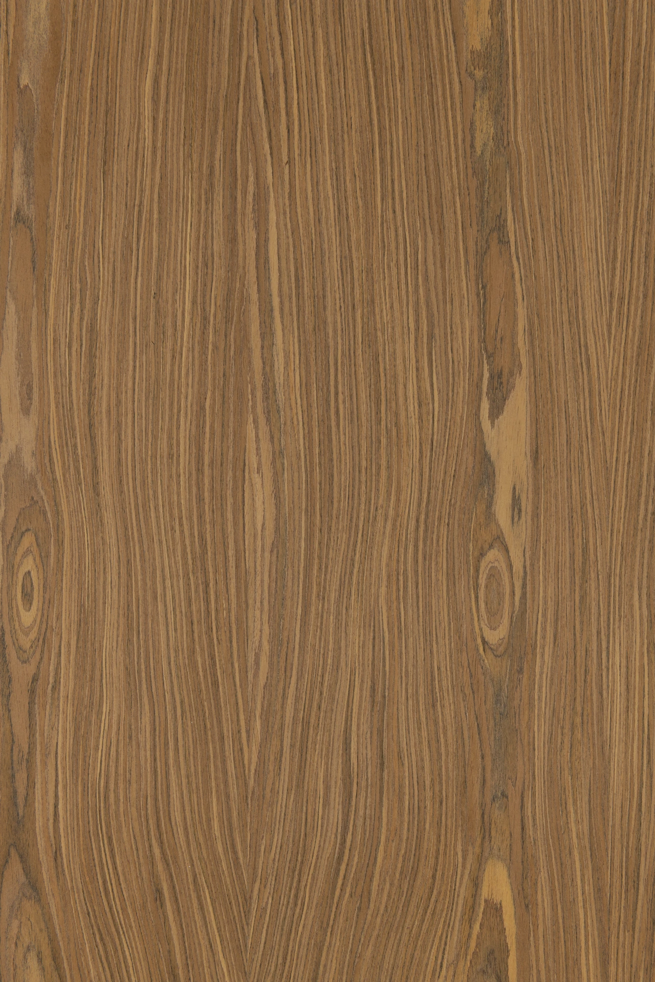 picture alternative text