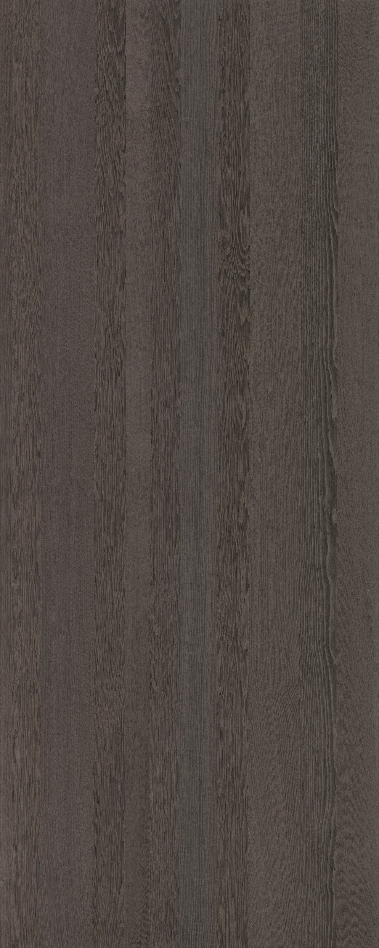 picture alternative text