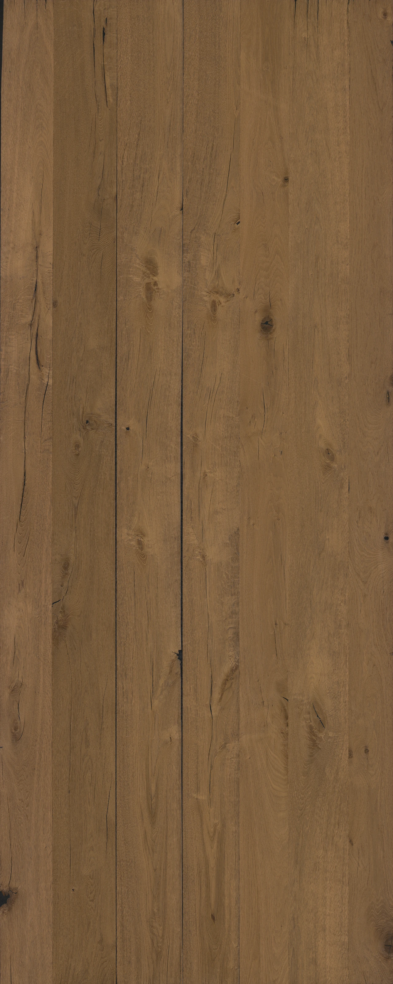 picture alternative text