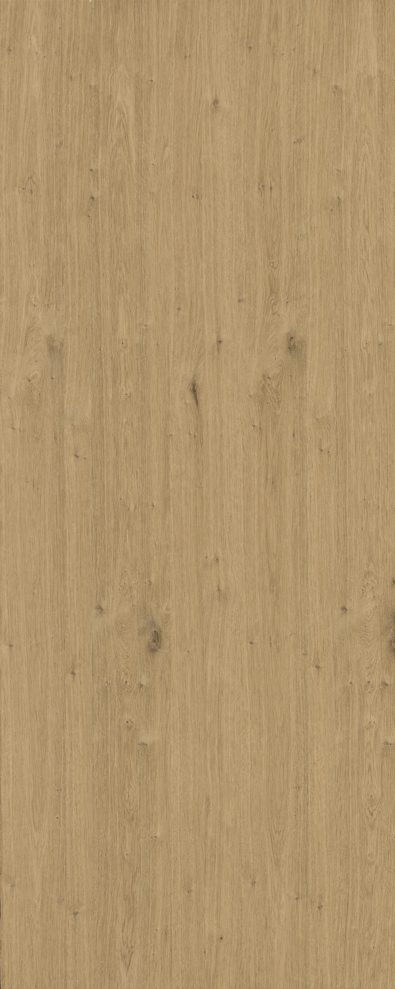 picture alternative text