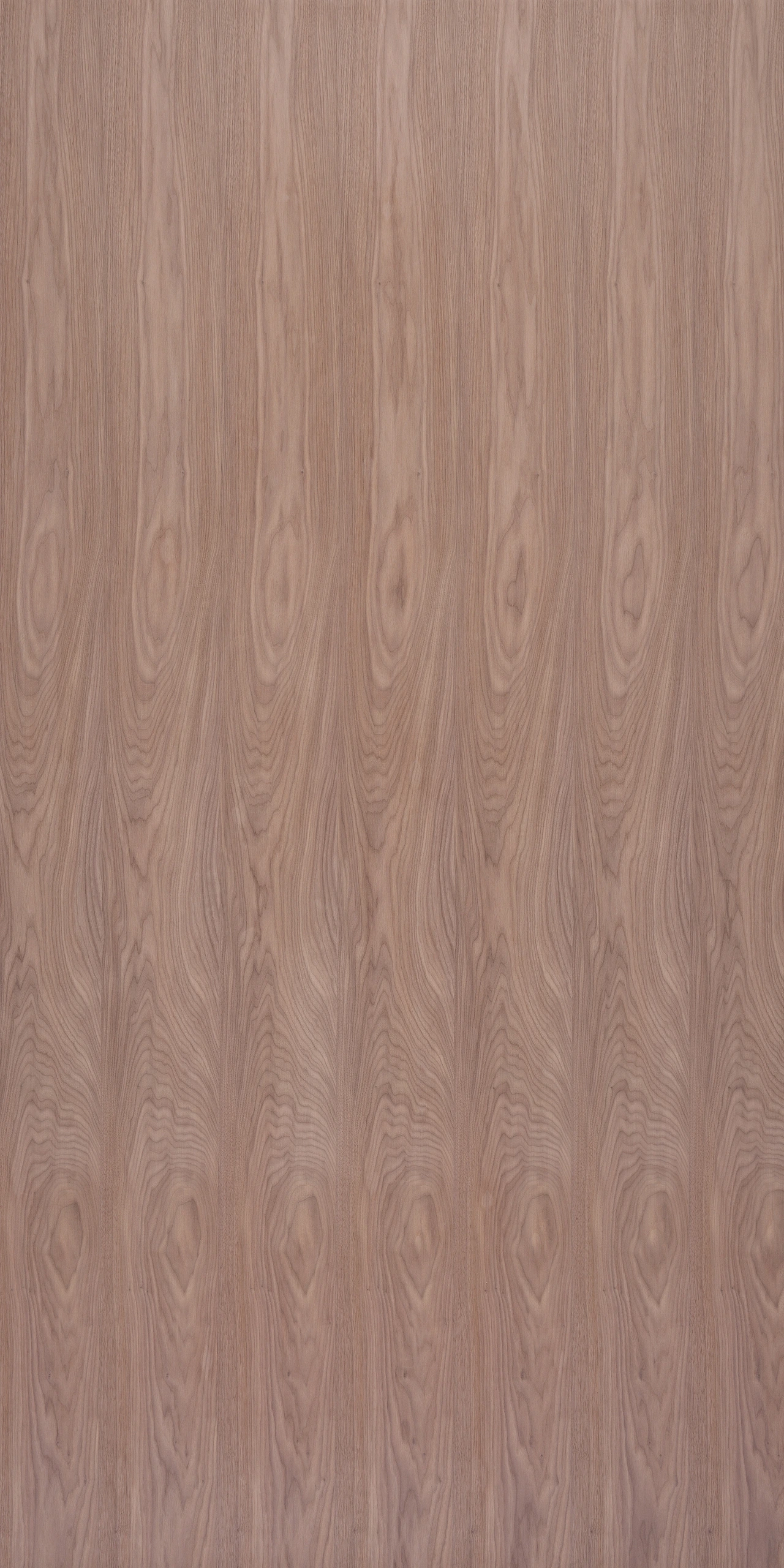 picture alternative text