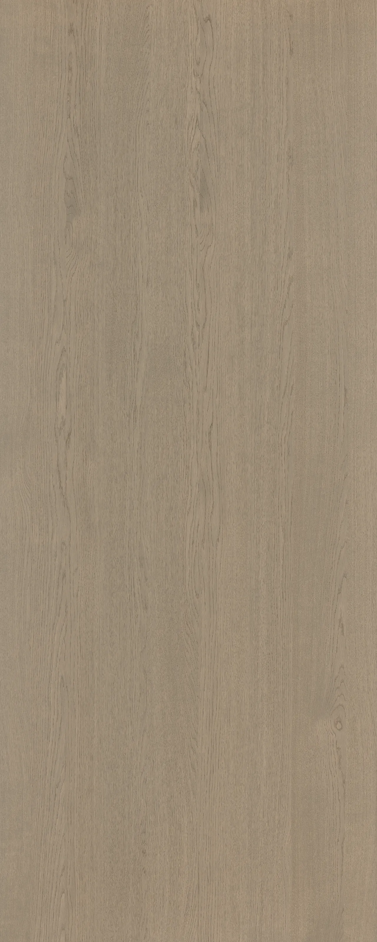 picture alternative text