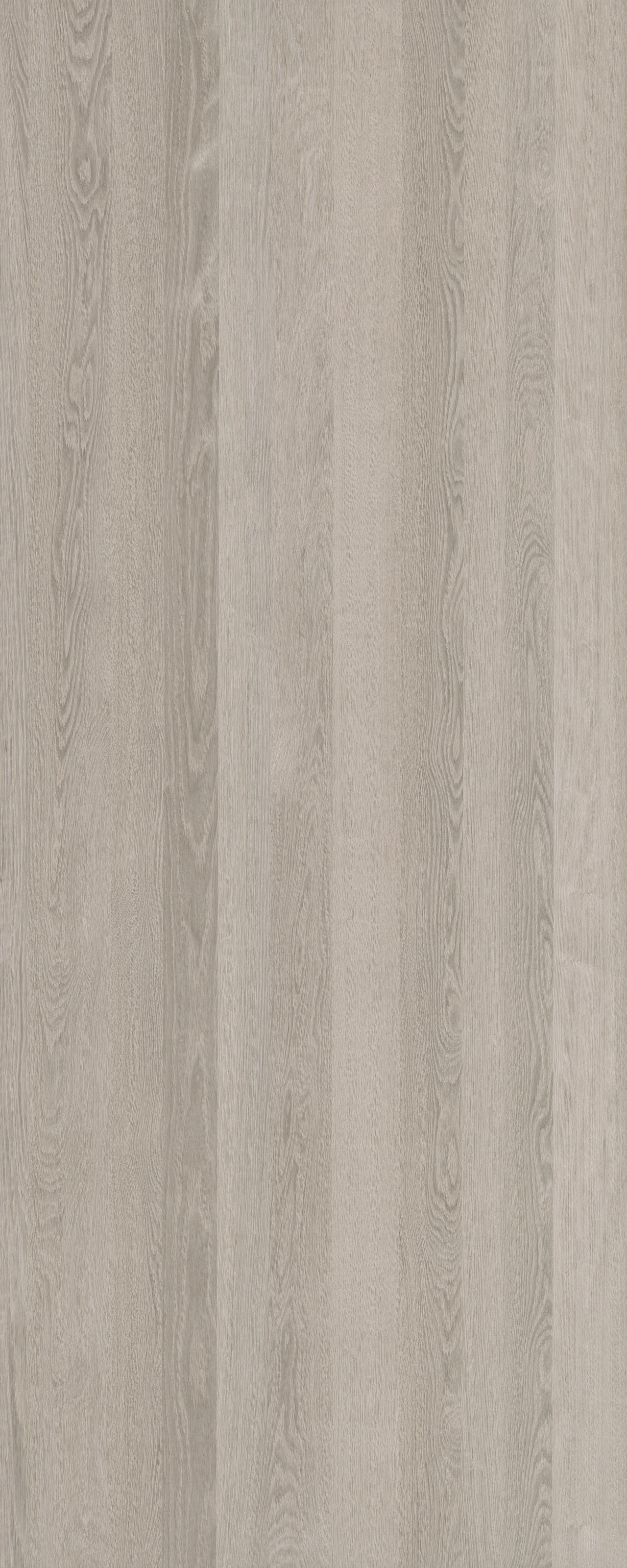 picture alternative text