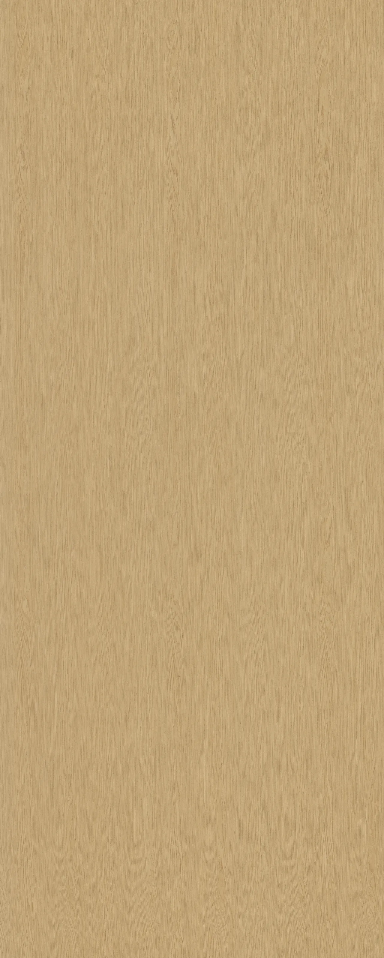 picture alternative text