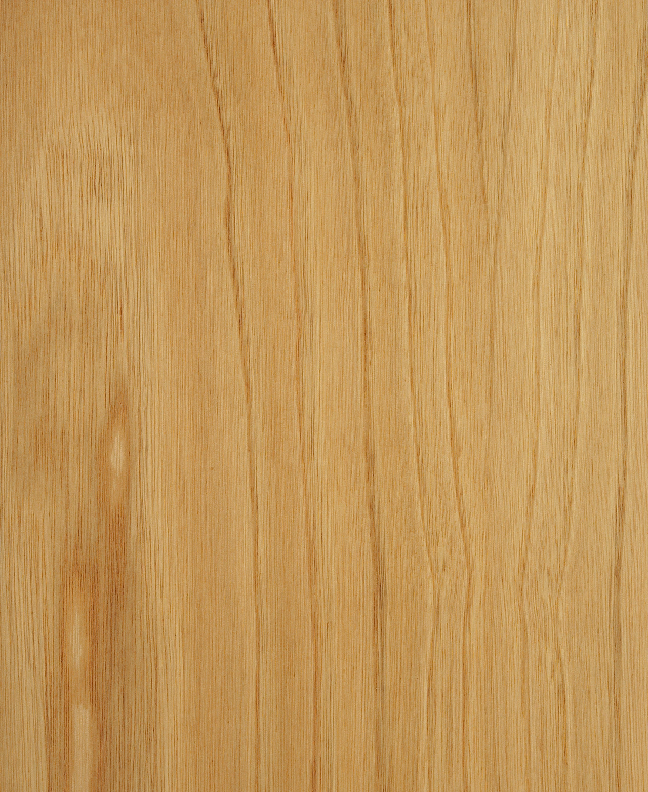 picture alternative text