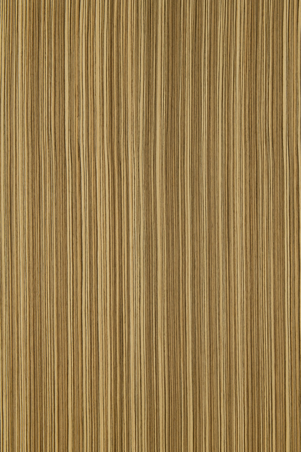 picture alternative text