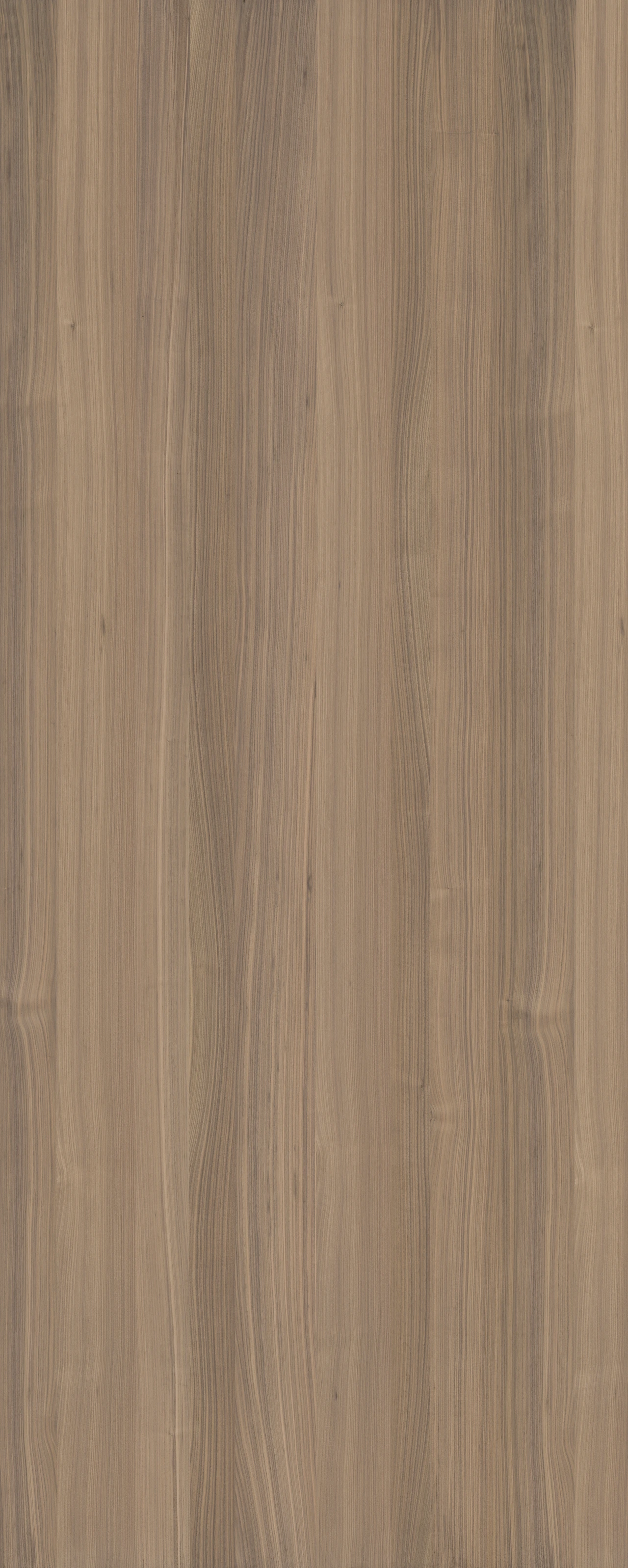 picture alternative text