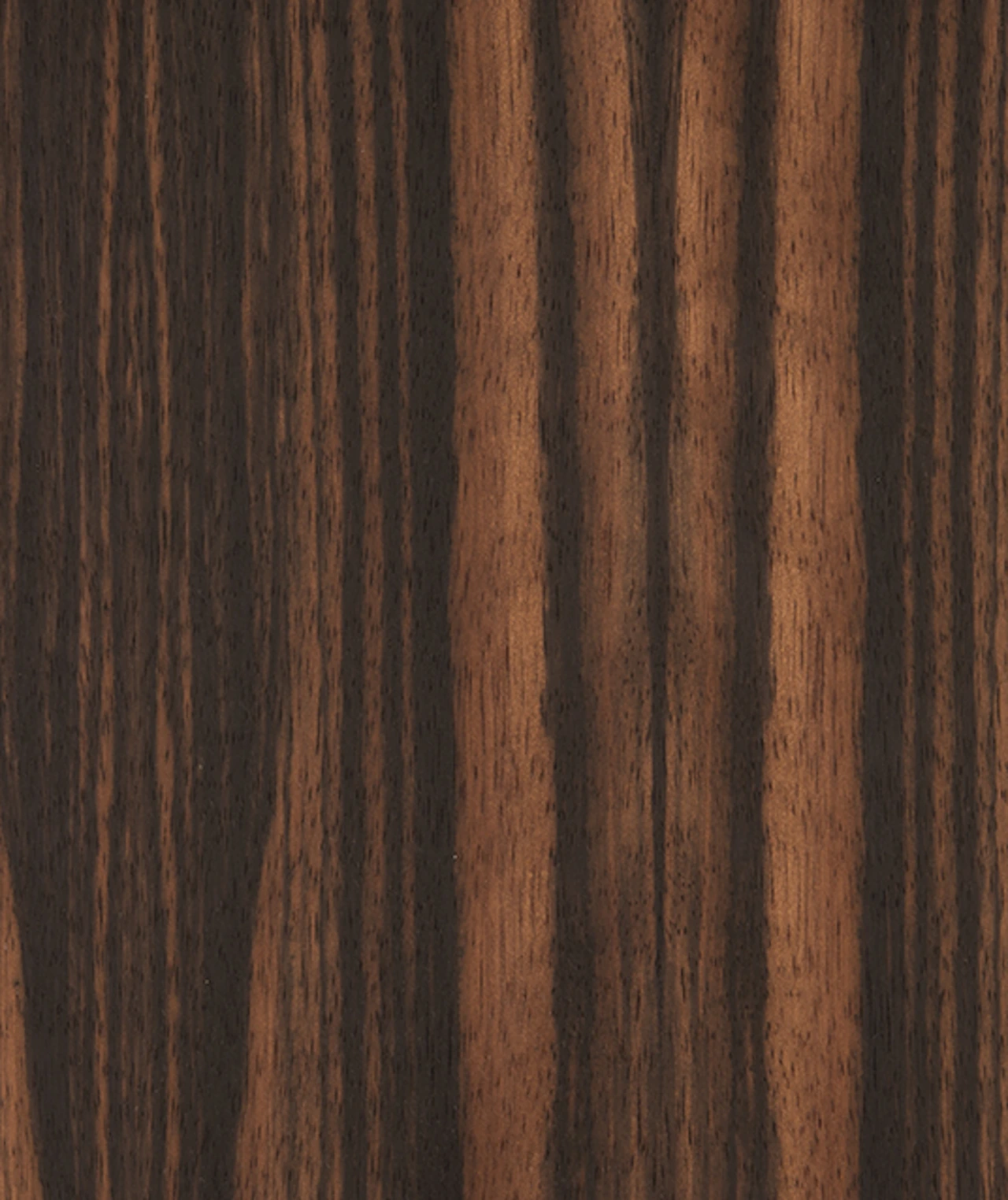 picture alternative text