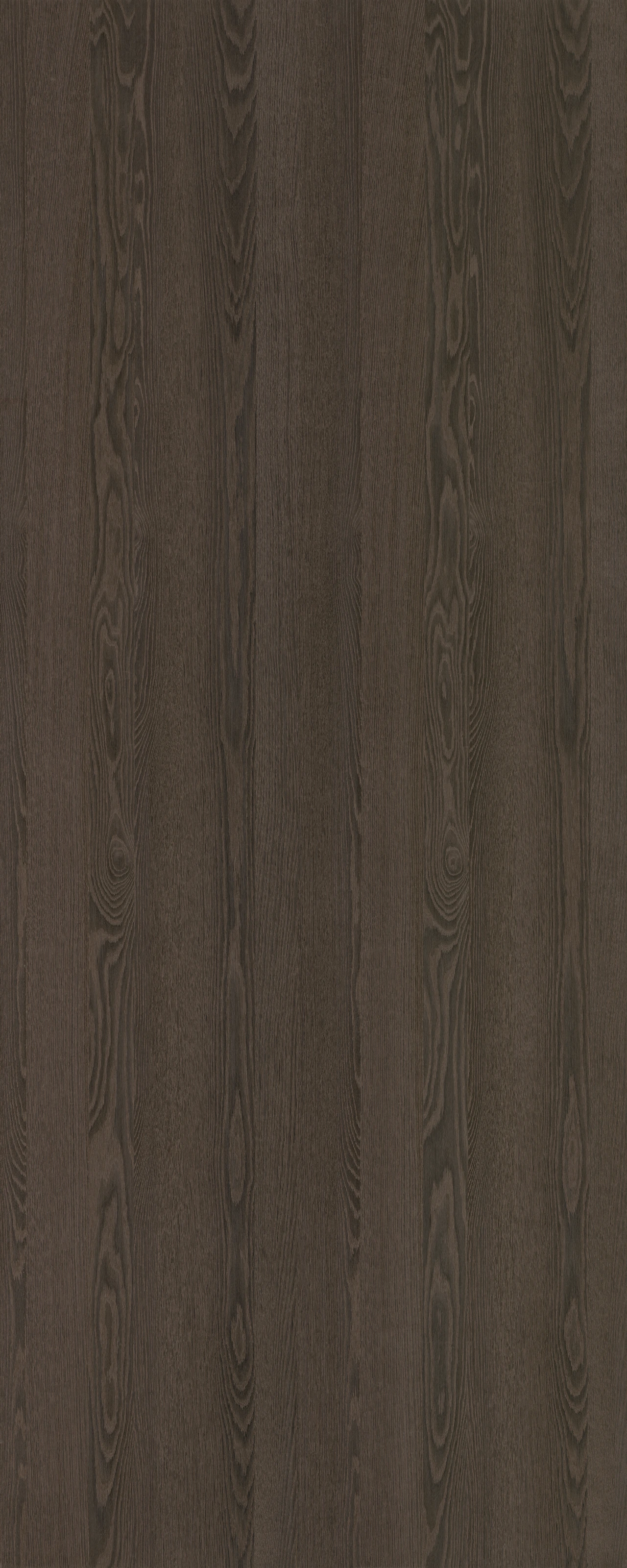 picture alternative text