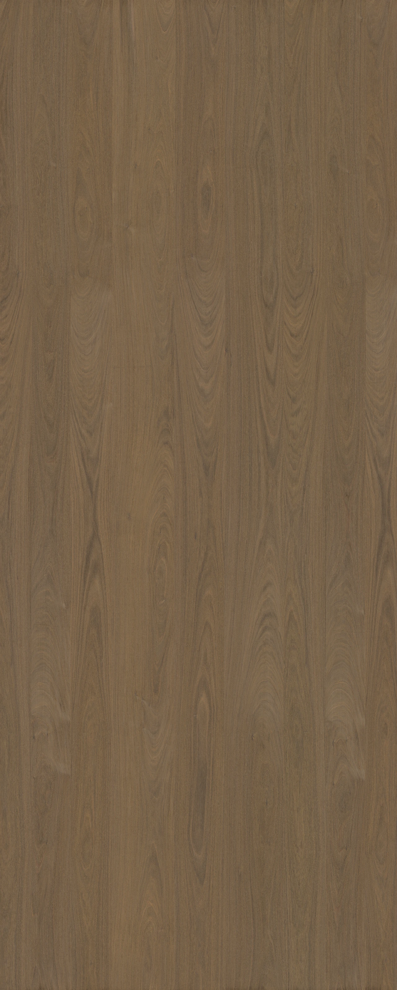 picture alternative text