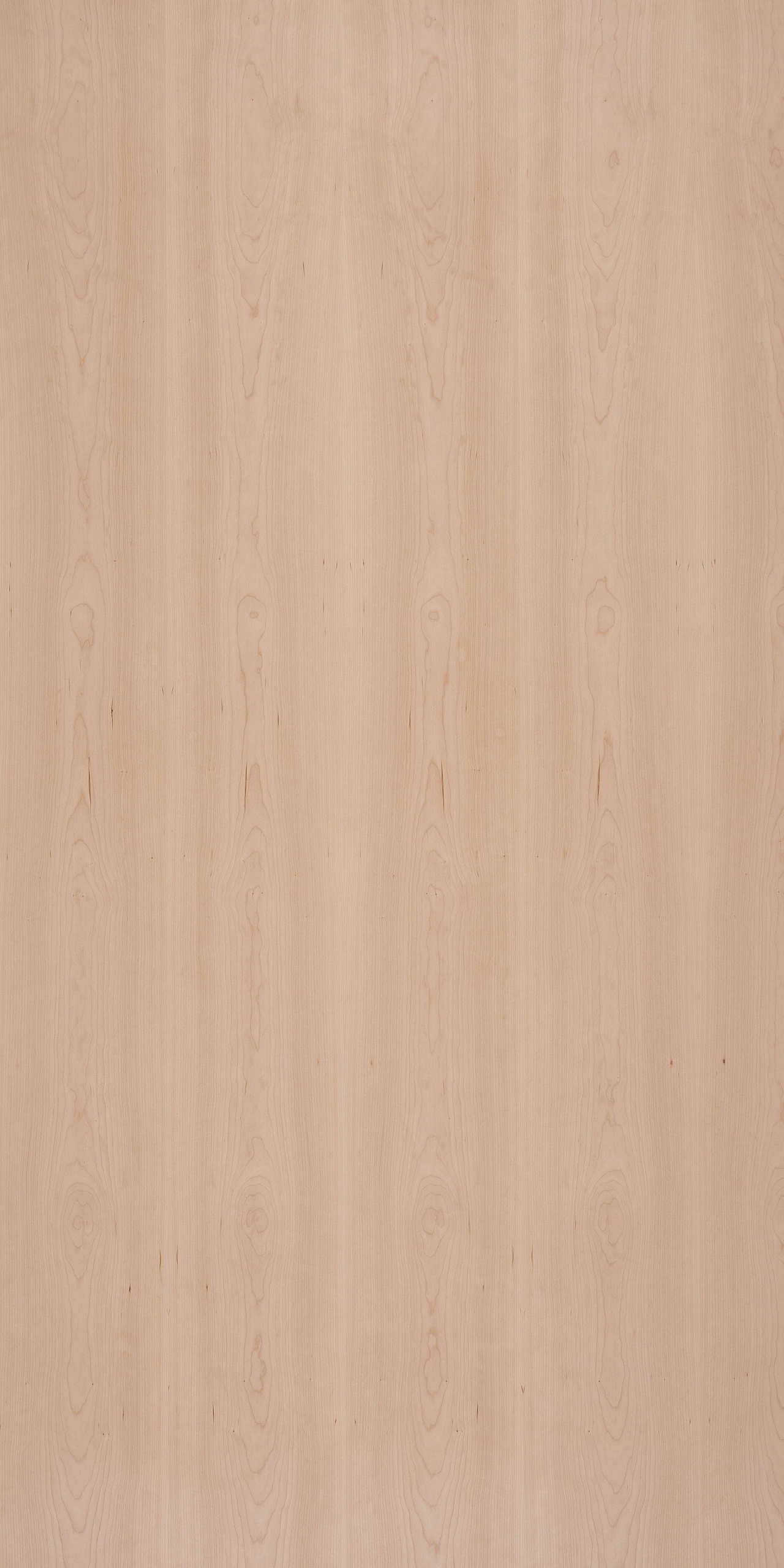 picture alternative text