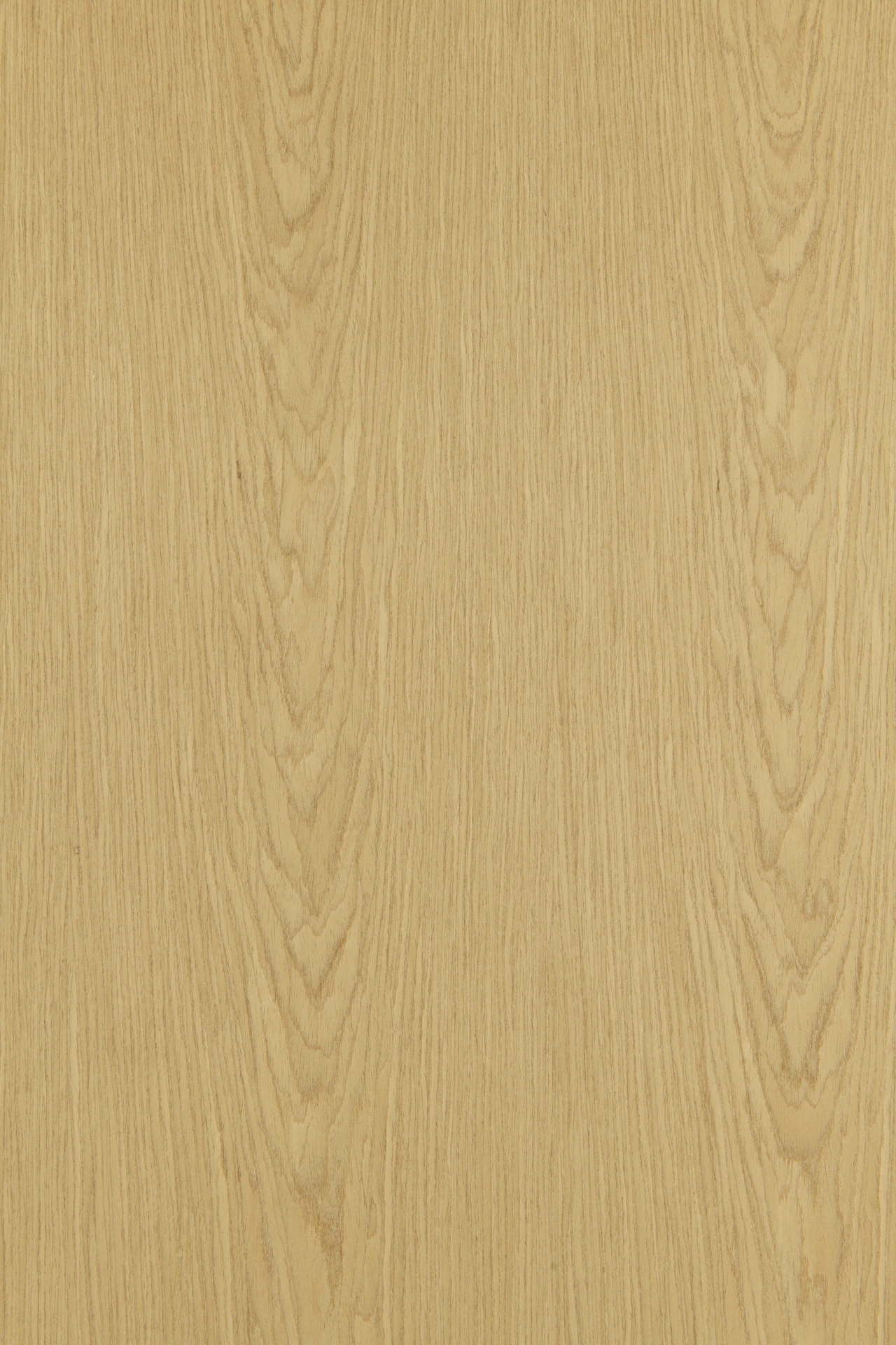 picture alternative text