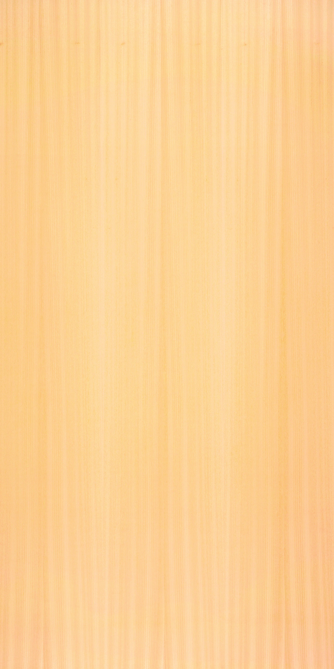 picture alternative text