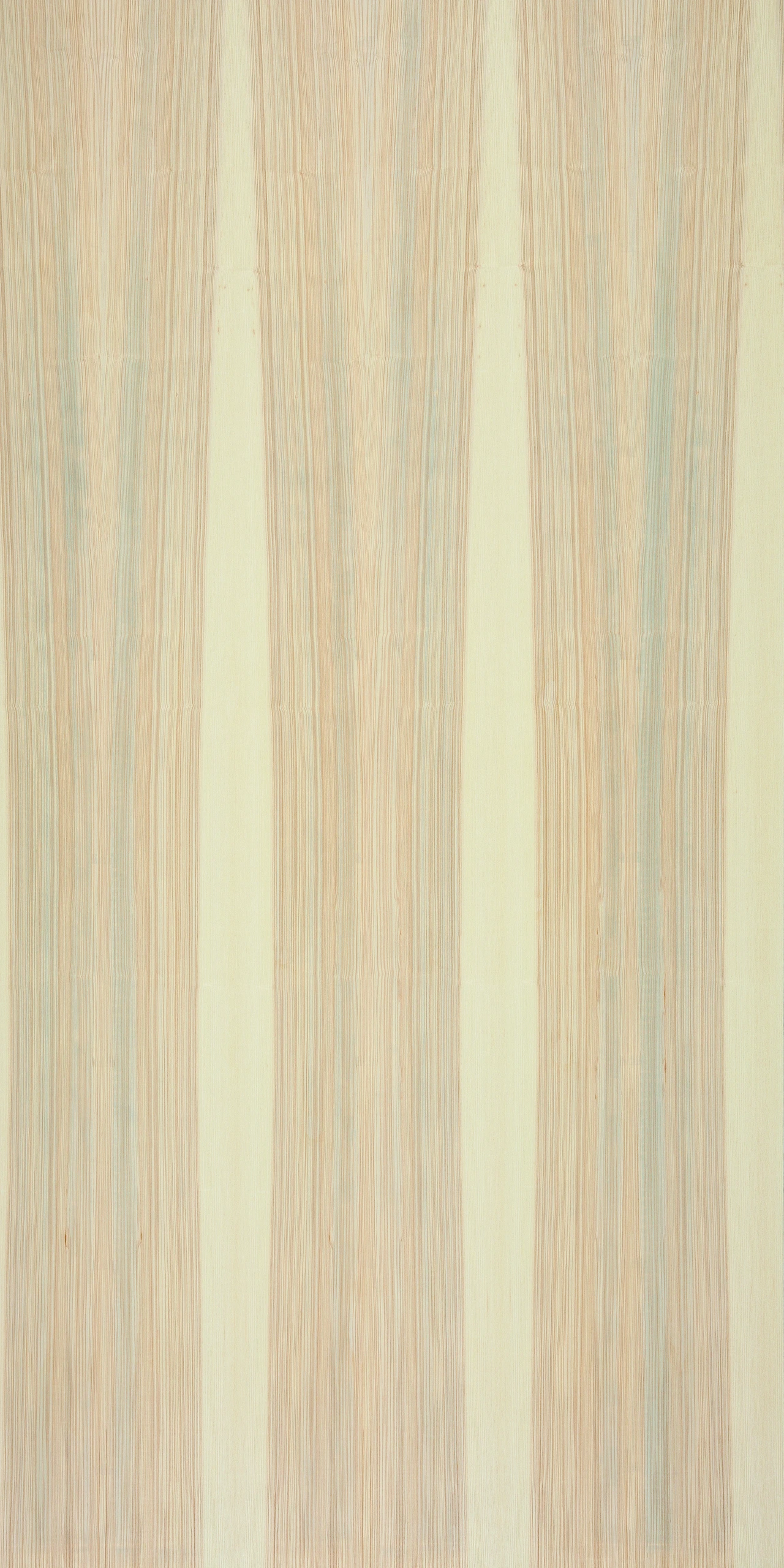 picture alternative text